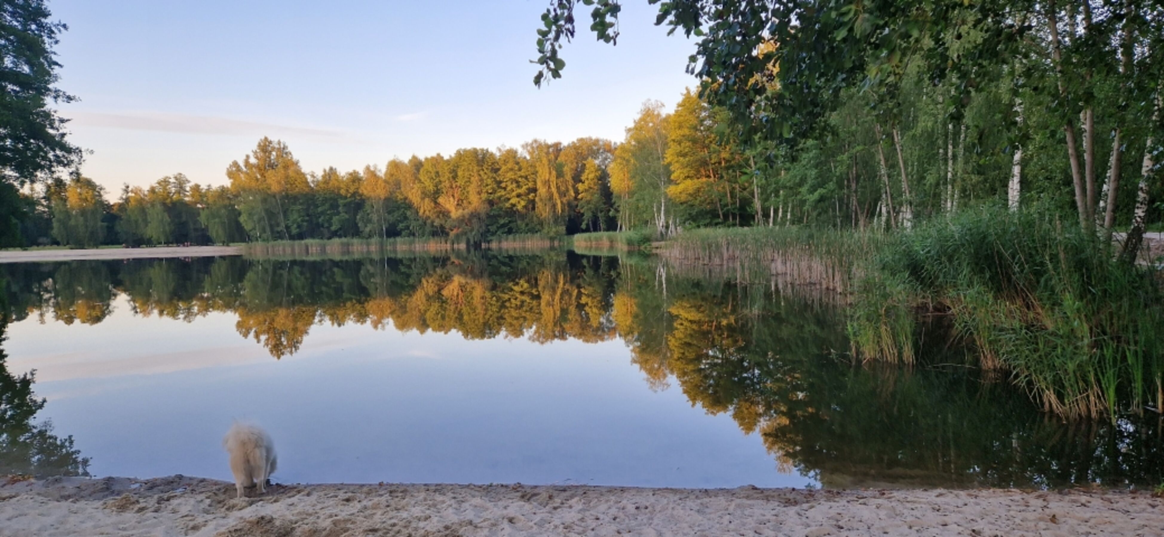 Willischza See