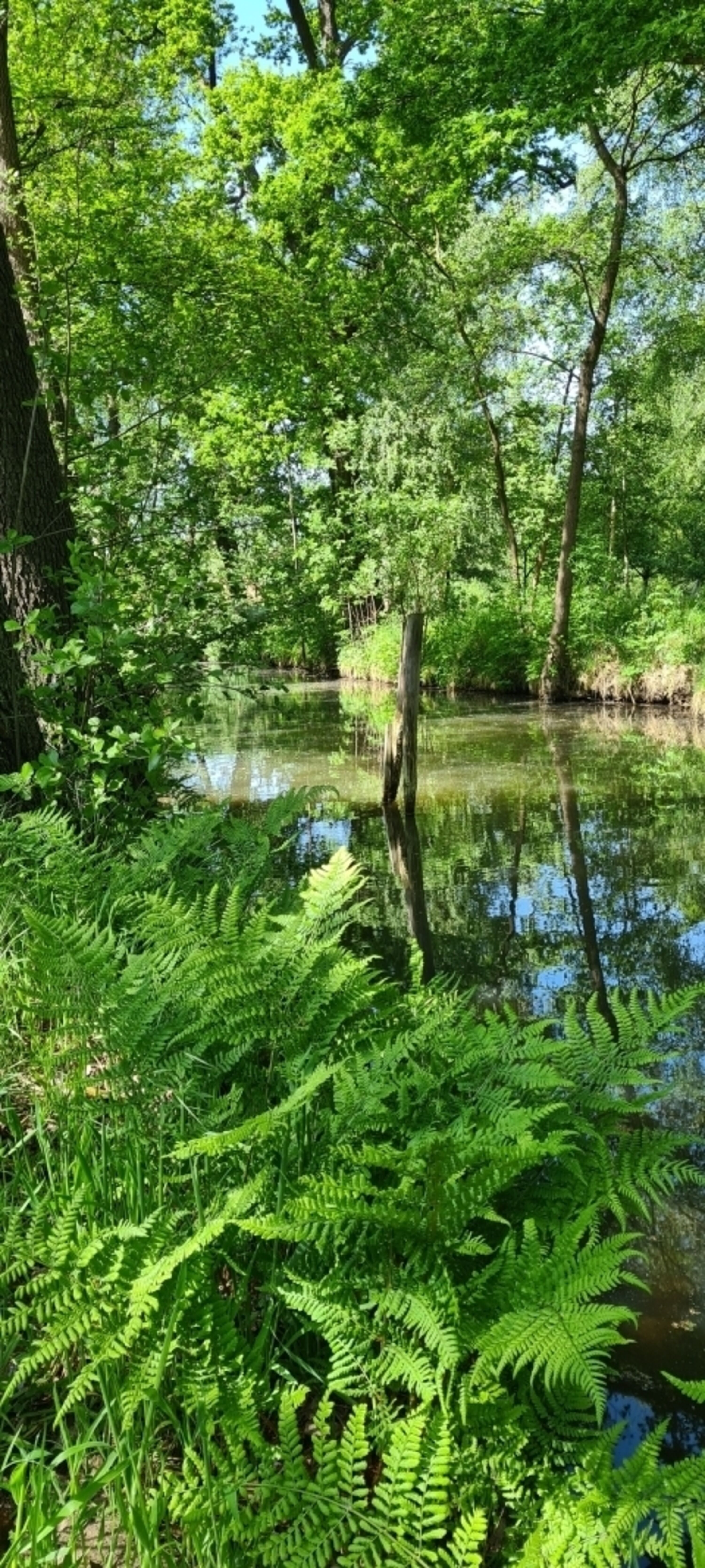 Bild 14