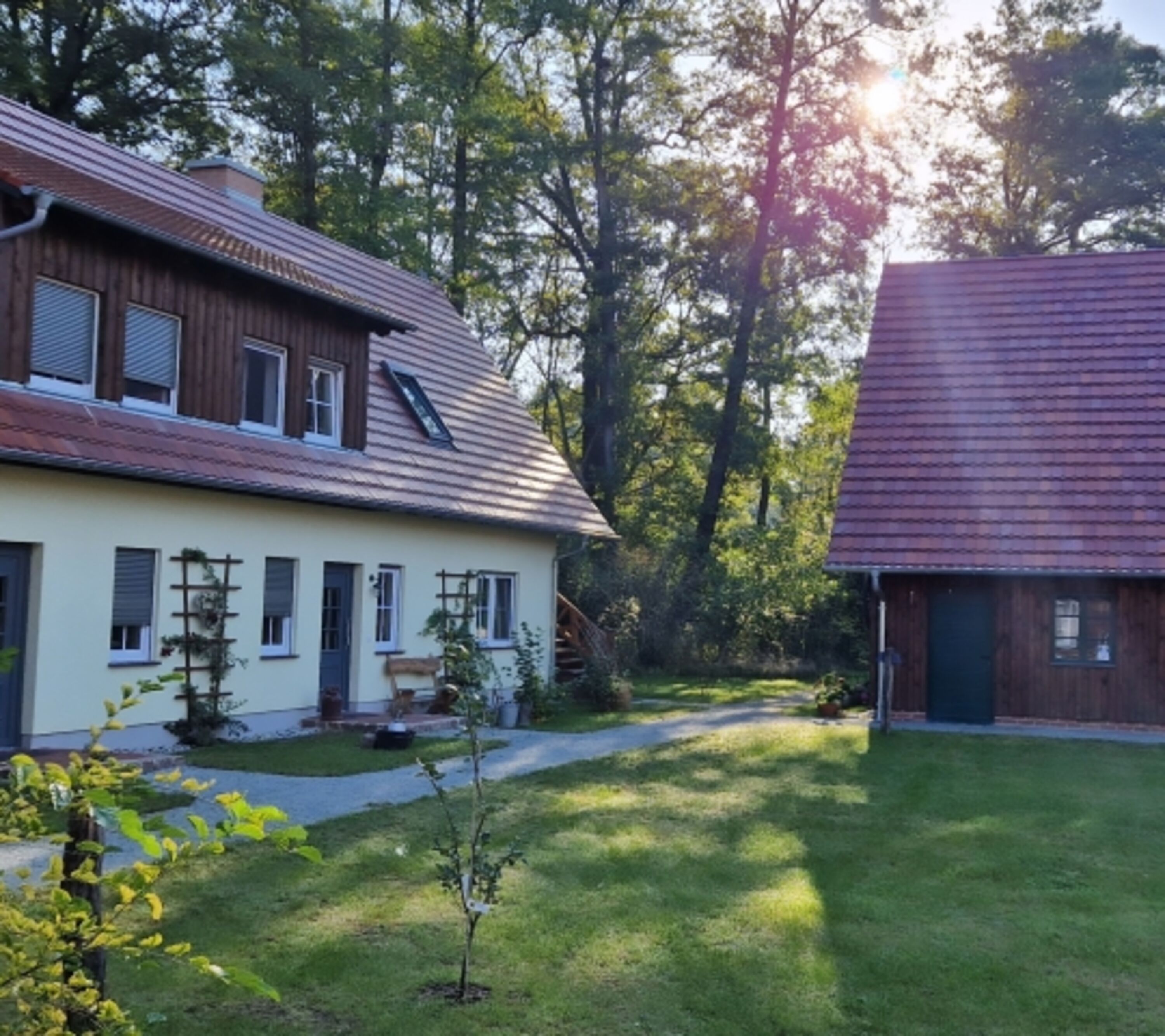 Bild 15