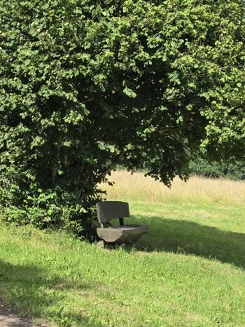 Spaziergänge vom Haus aus 