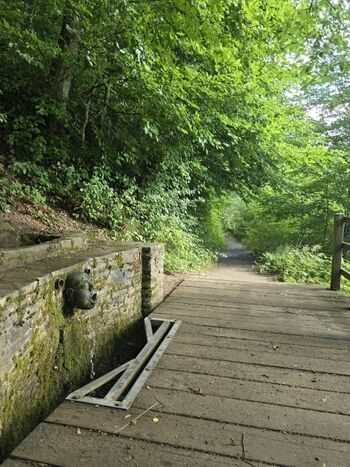 Maarberg Ulmener Maar