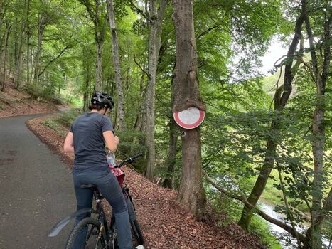 viele Wander- und Radwege in der Nähe