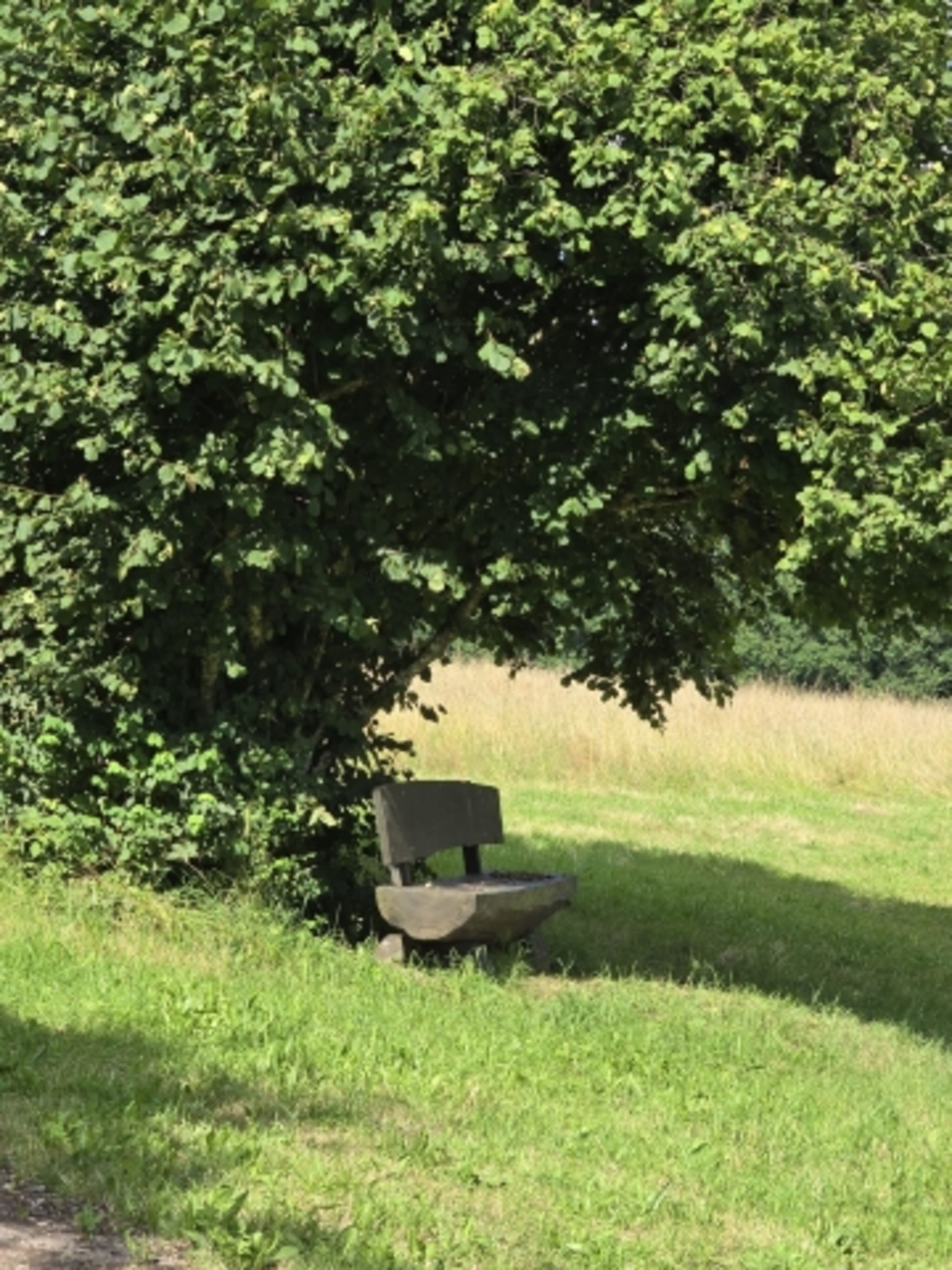 Spaziergänge vom Haus aus 