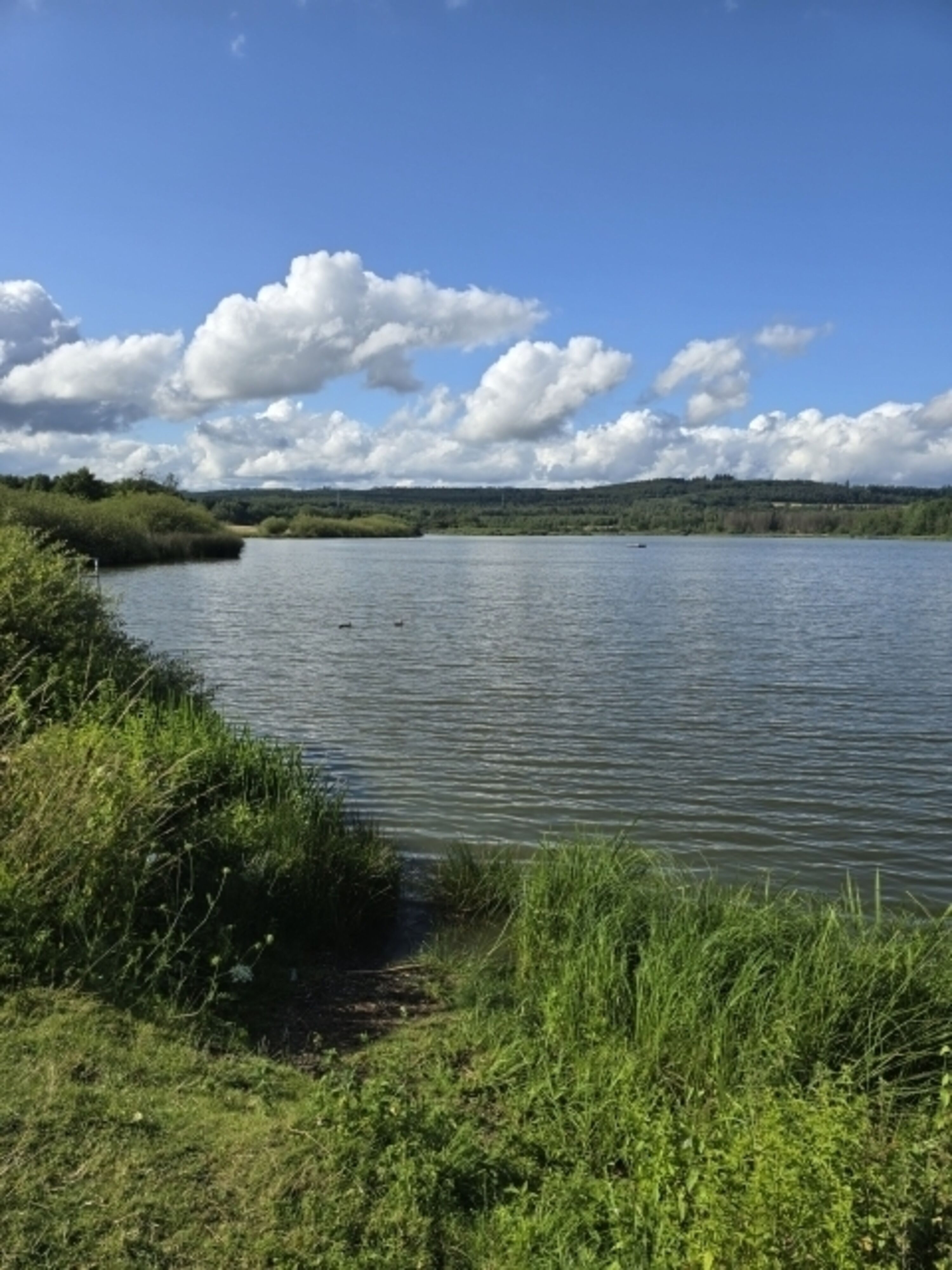 Jungferweiher