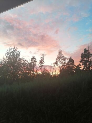Blick in den Abendhimmel von der Terrasse 