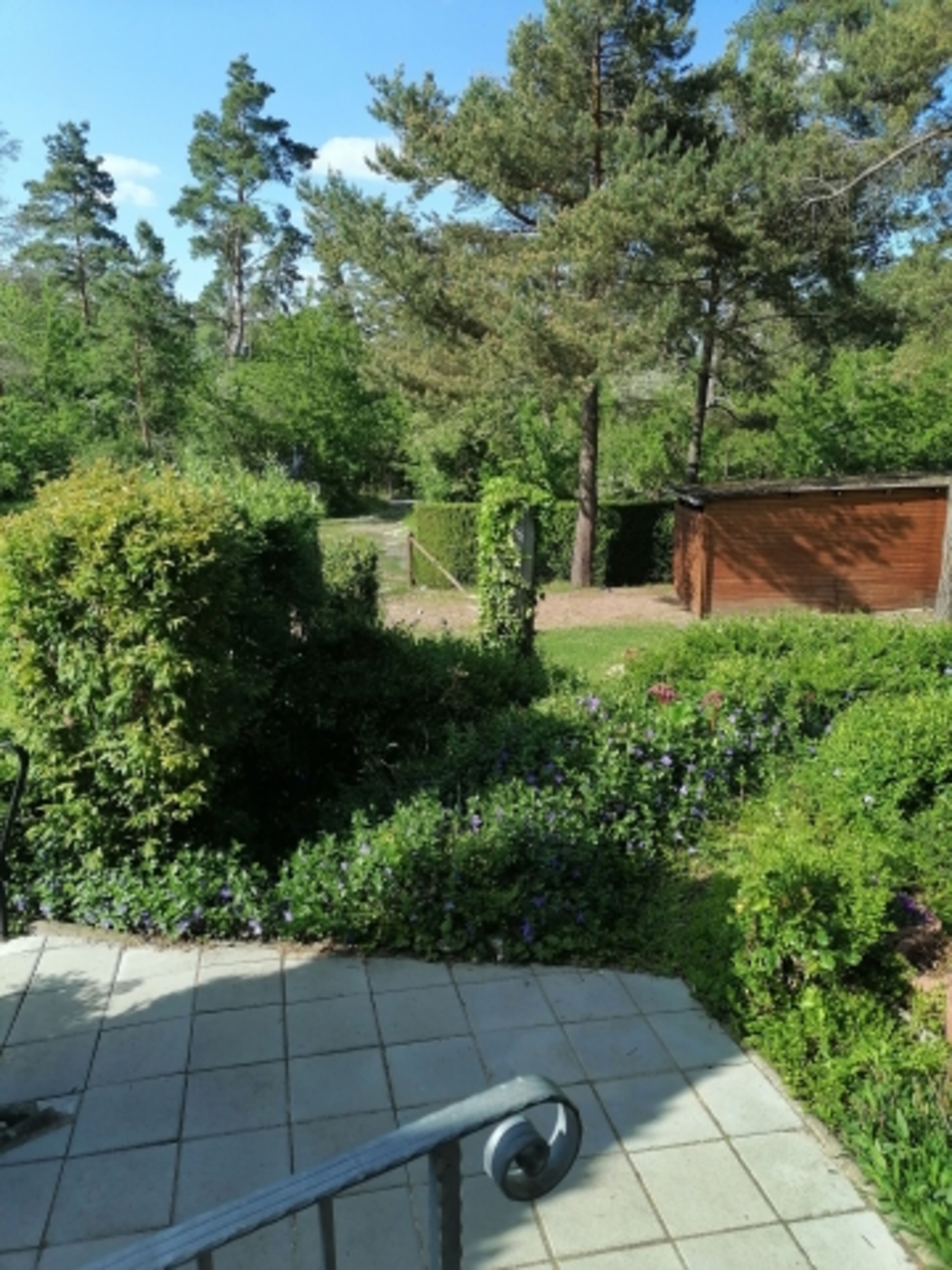 Bild 14