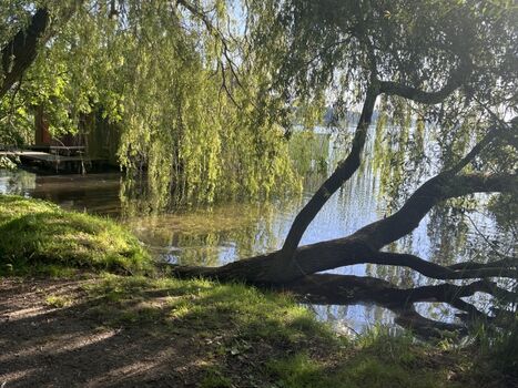 Badestelle für Hunde