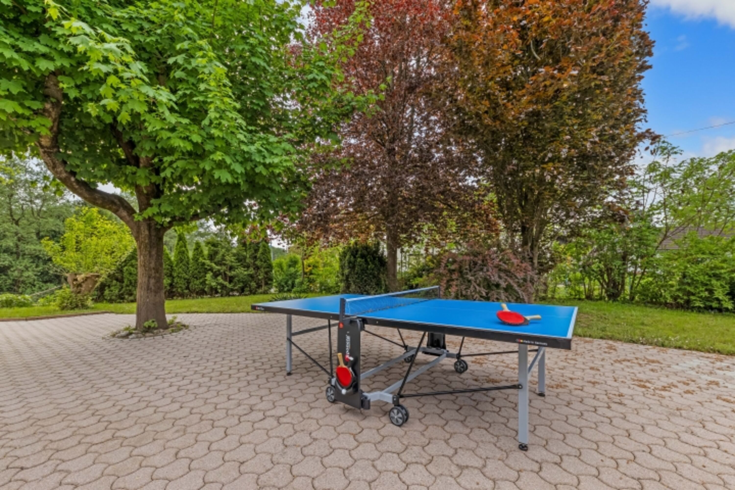 Tischtennistisch