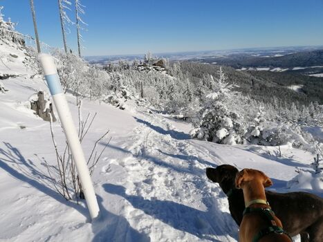 Grenzsteigwanderung im Winter