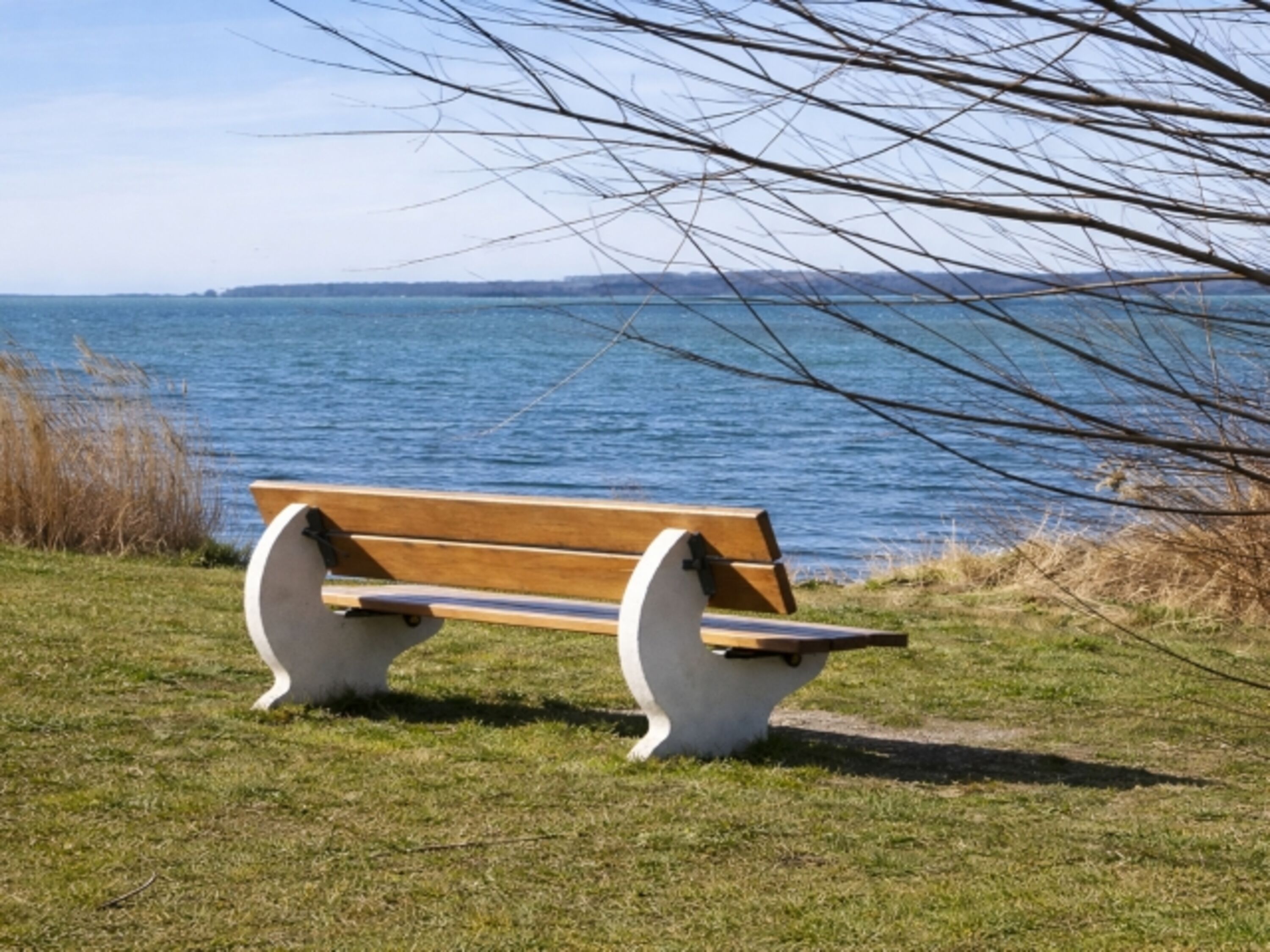 Der Wieker Bodden