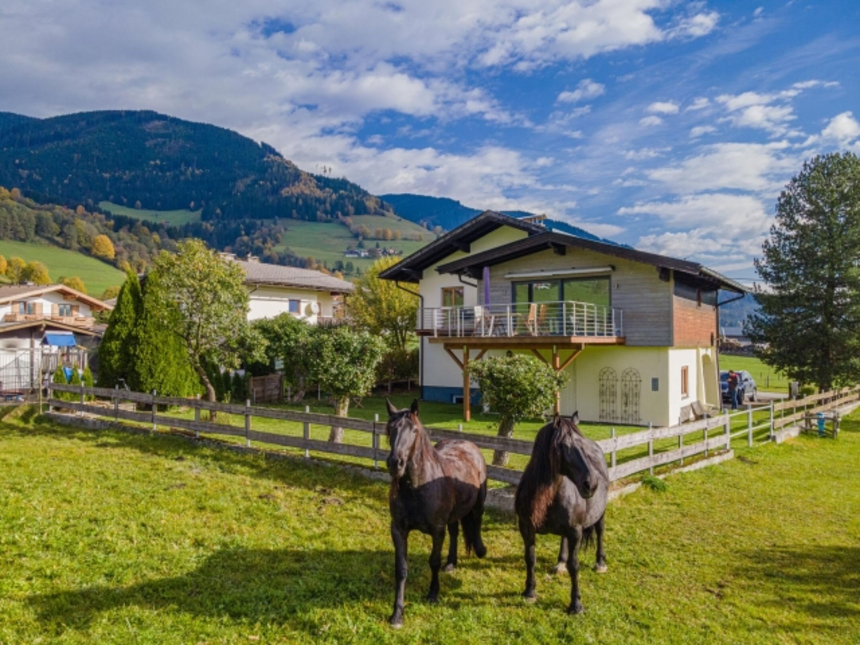 Bild 13