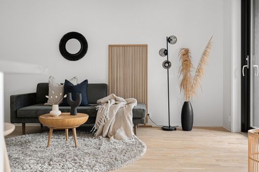 Beispiel - Wohnbereich mit Schlafcouch, TV und Zugang zur Terrasse