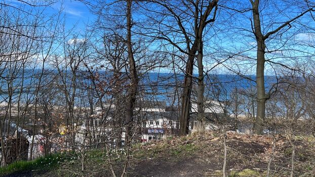 Blick im Winter vom Bakon