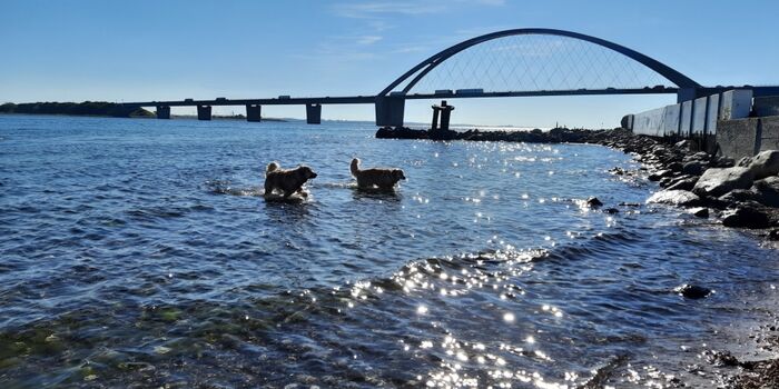 Badespaß an der Fehmarnsundbrücke