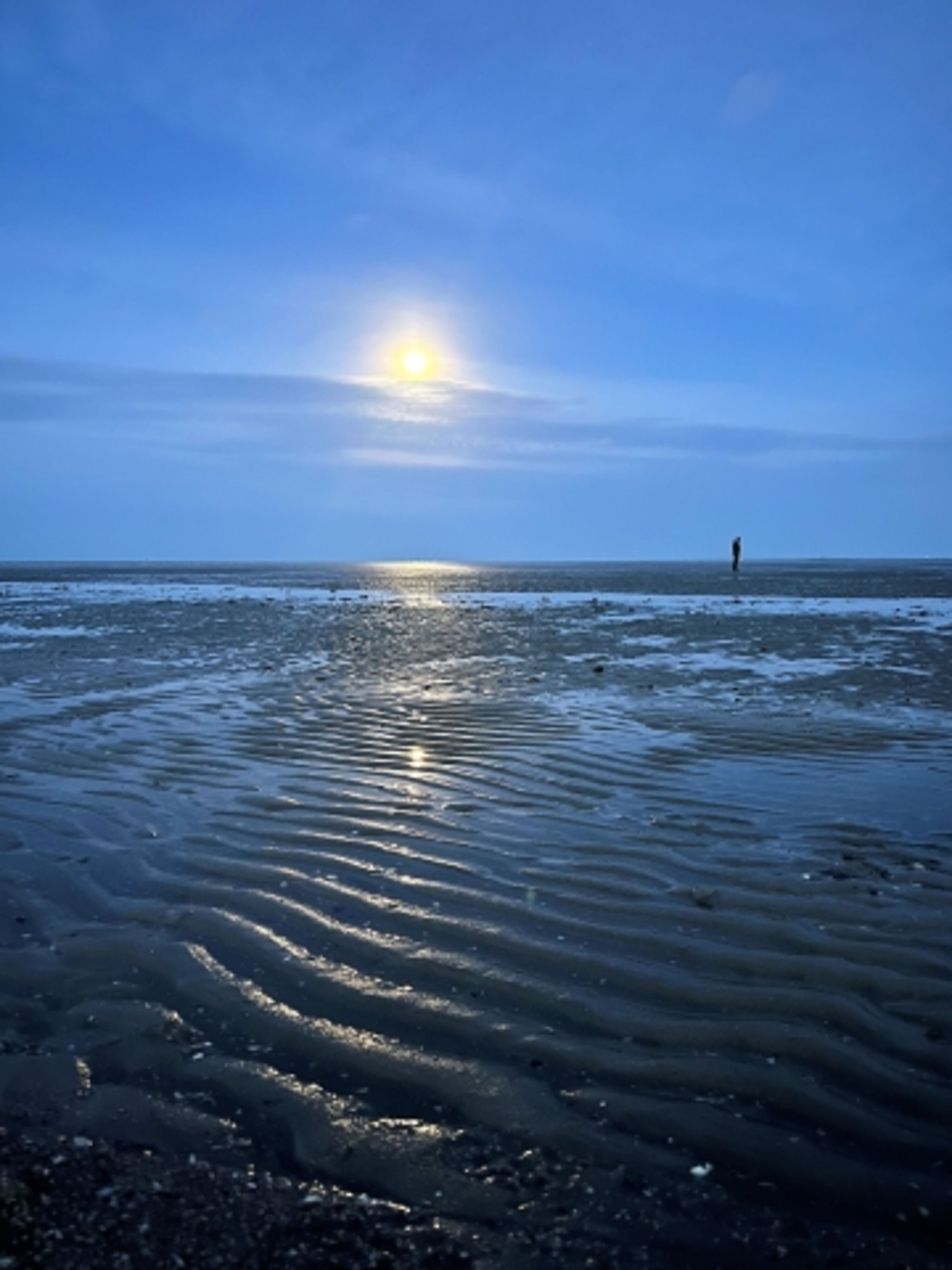 Wattenmeer