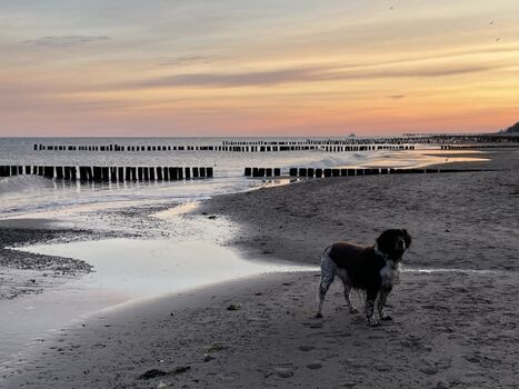 Emil im Winter in Kühlungsborn