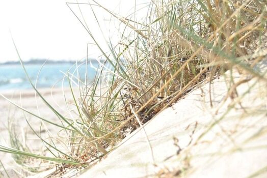 Naturstrand Fehmarnsund