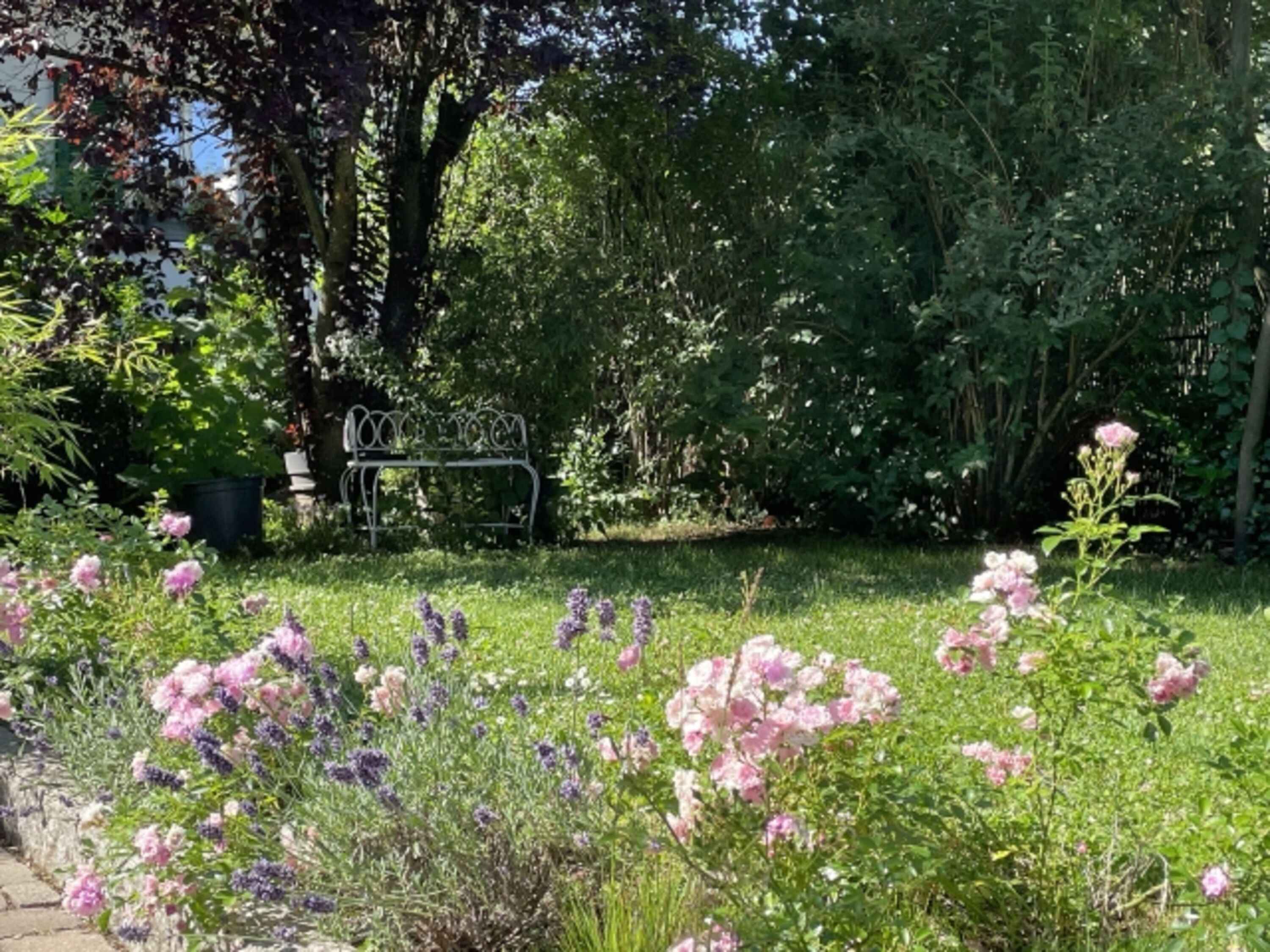 Gartenimpression