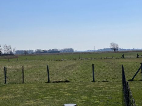 Blick ins Grüne
