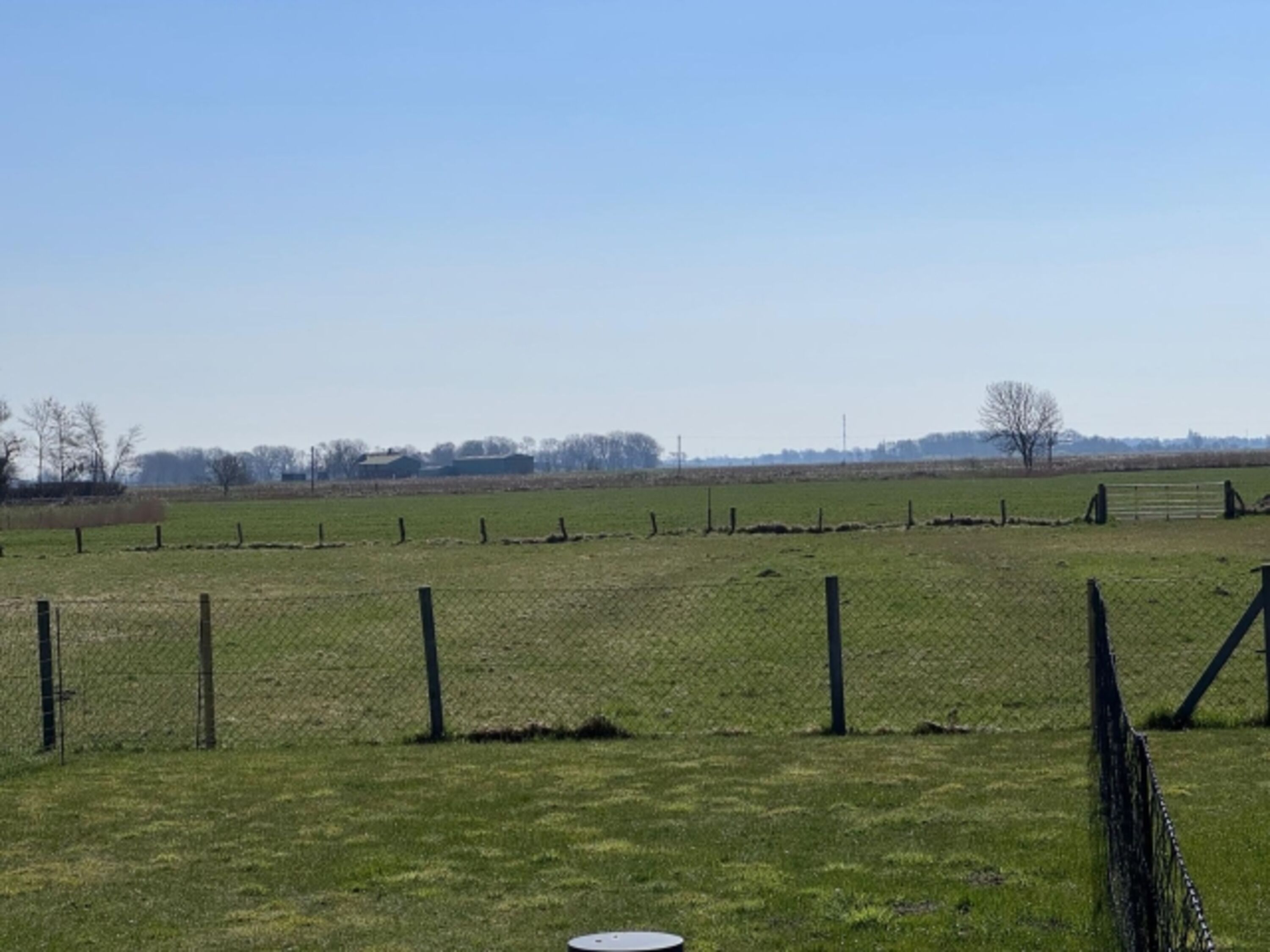 Blick ins Grüne