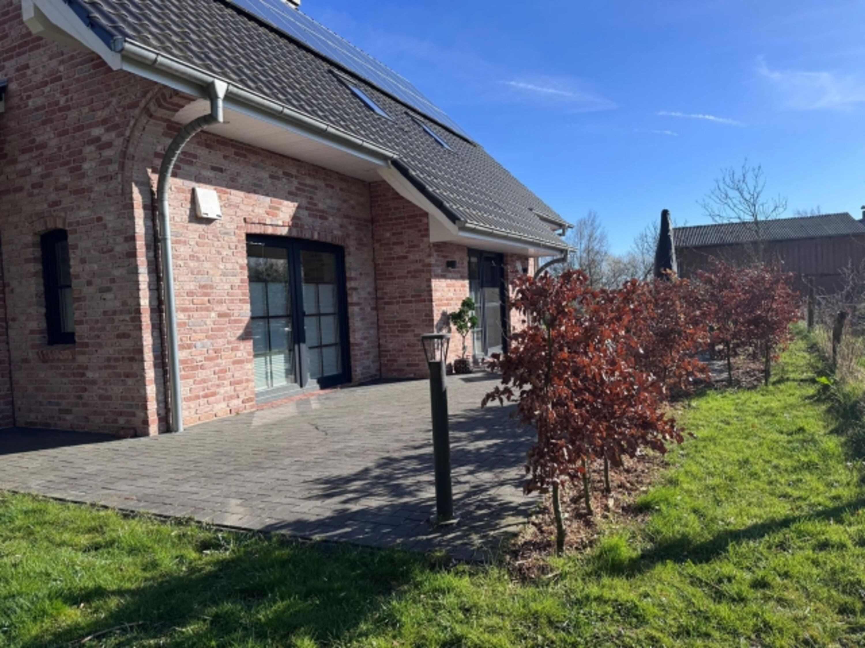 Blick in den Garten