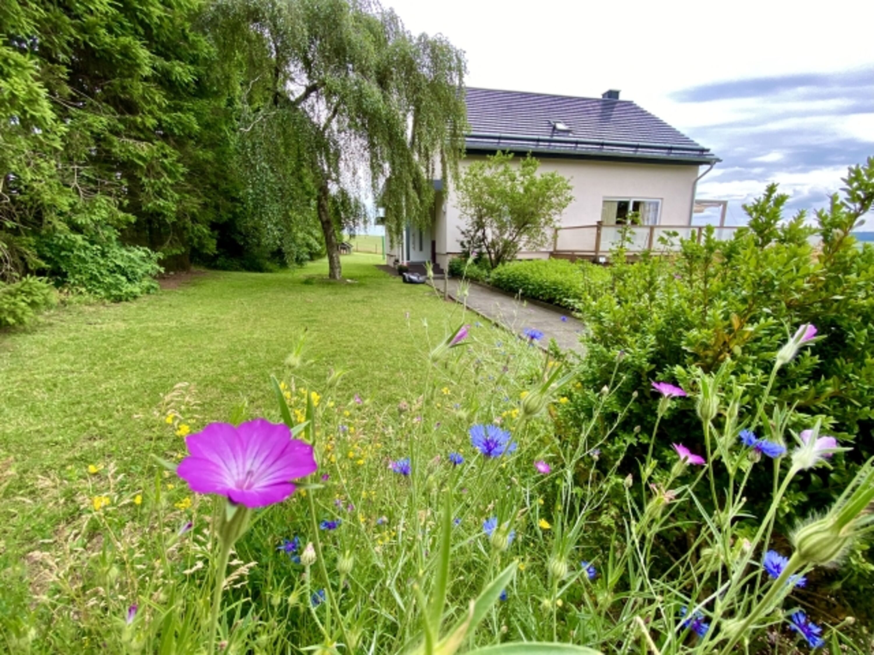 Zugang zum Haus