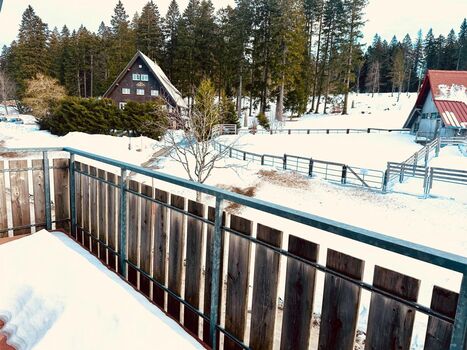 Blick vom Balkon auf den Pferdehof