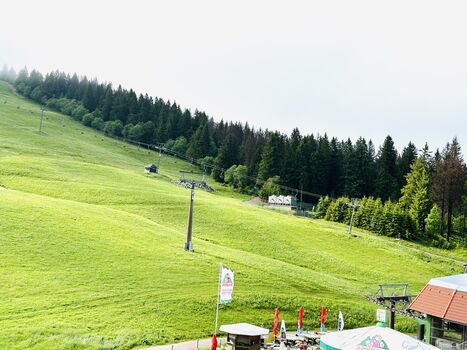 Blick aus der Wohnung im Sommer