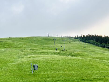 Blick aus der Wohnung im Sommer
