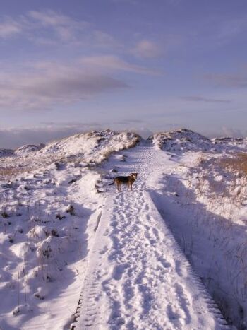 Winter in Sankt Peter-Ording 
