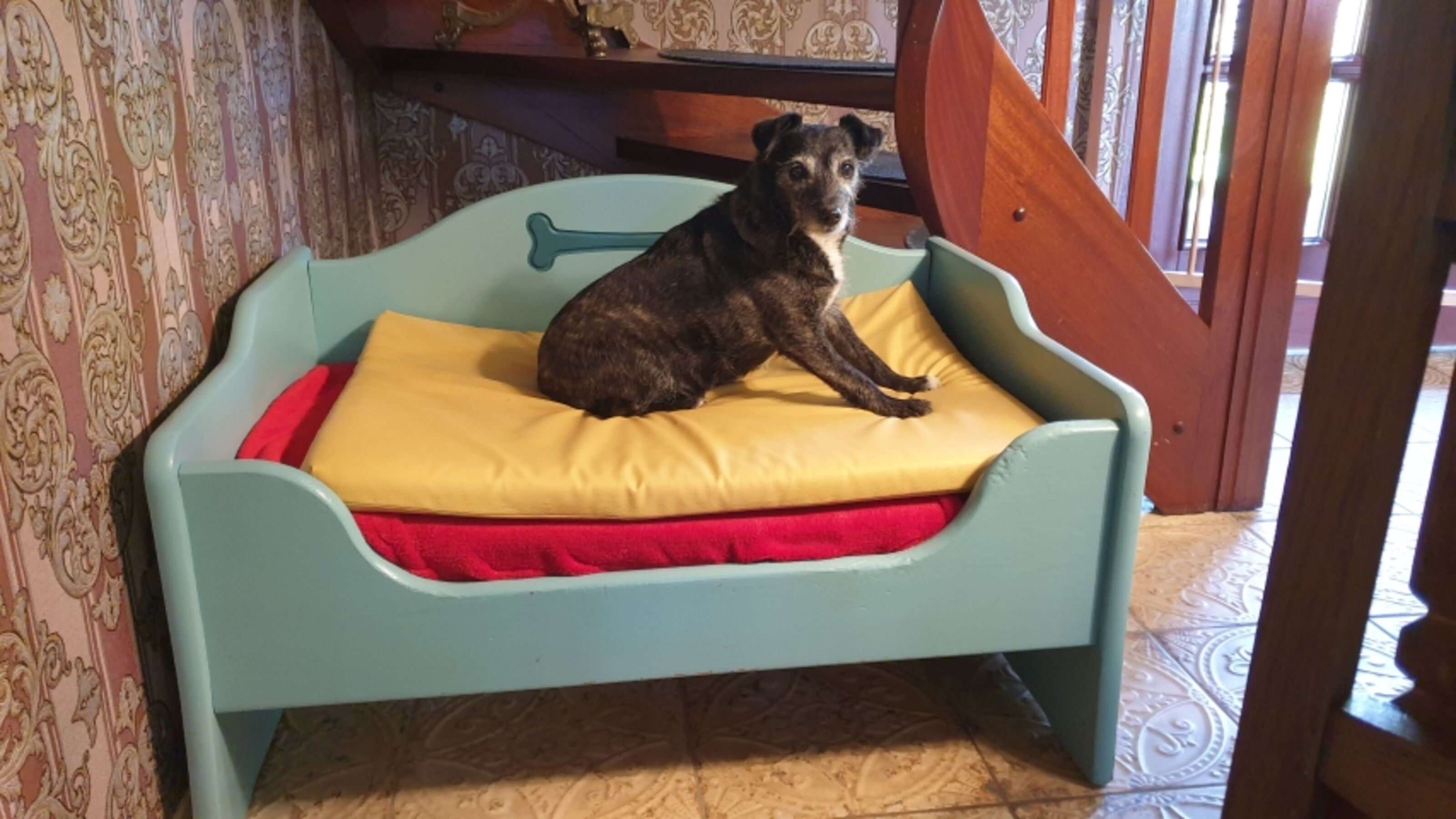 Hundebett