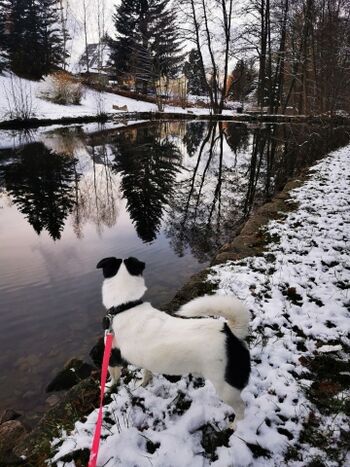 Naturbad Ellefeld im Winterschlaf 