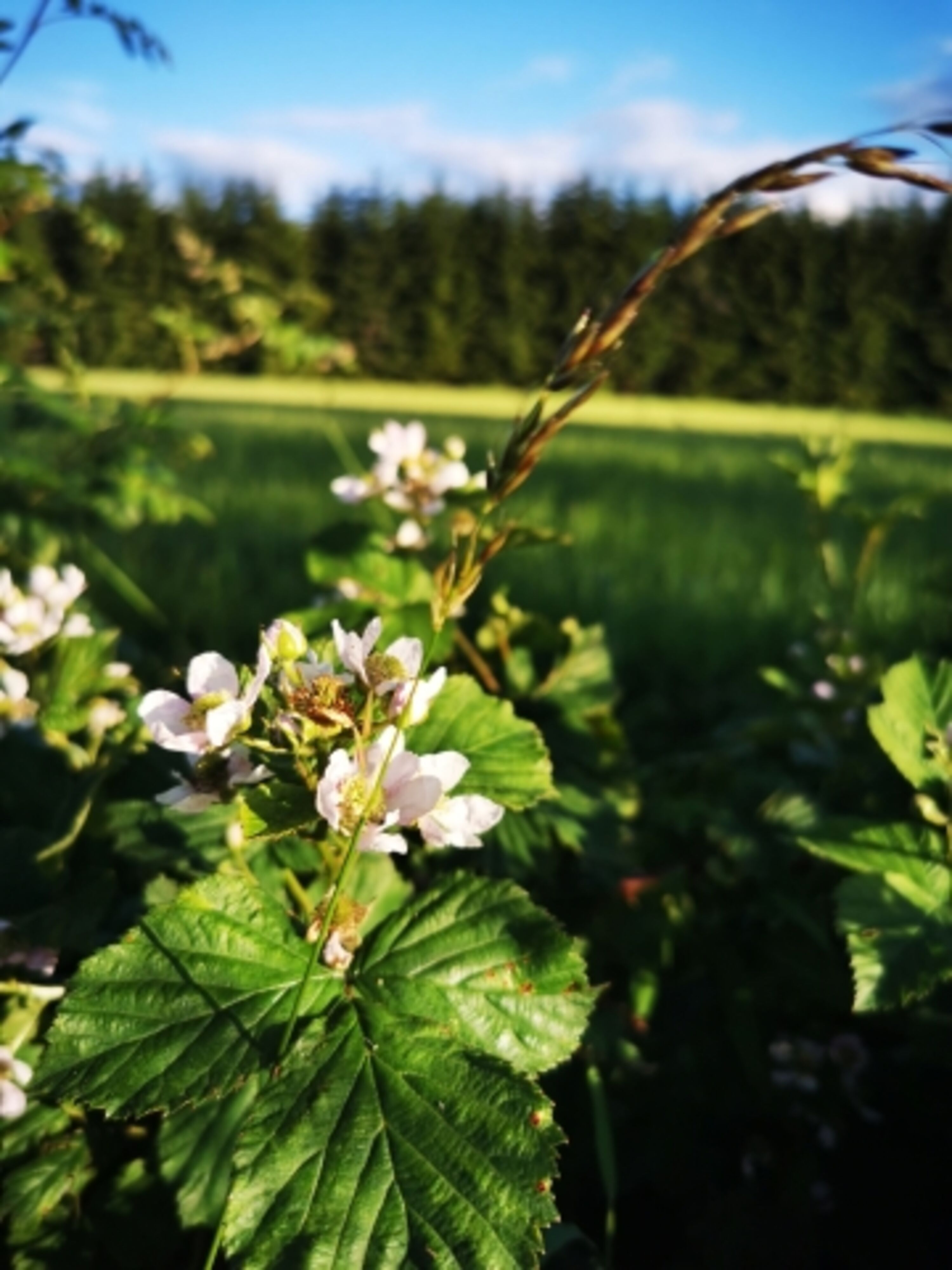 Bild 19