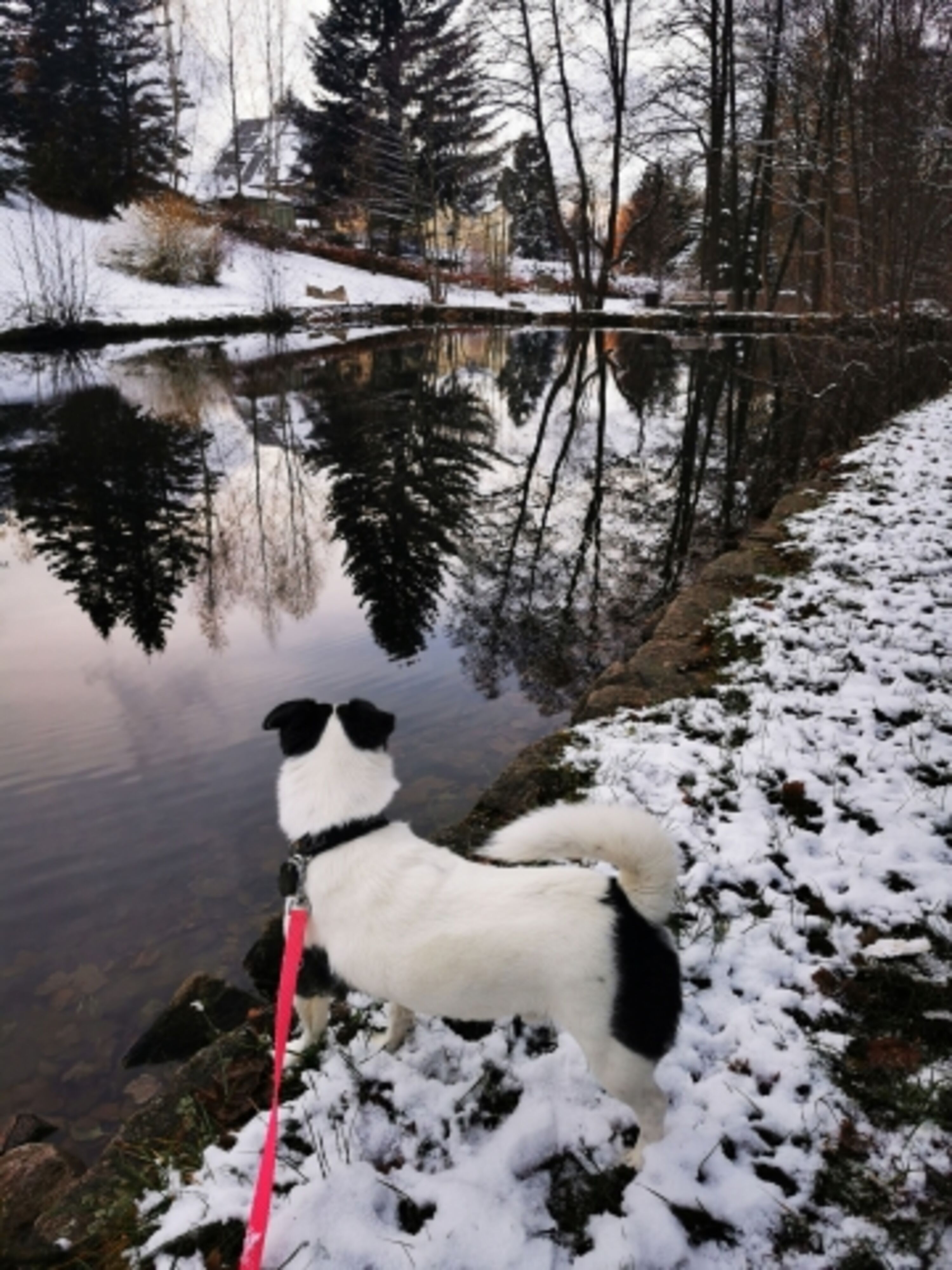 Naturbad Ellefeld im Winterschlaf 