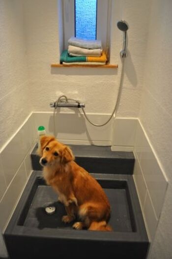 Hundedusche mit Meggy