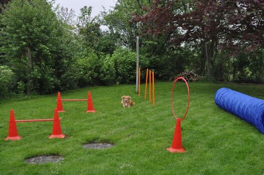 Garten mit Agilitygeräten