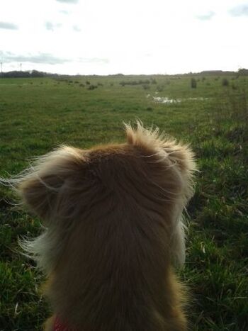 Meggy besichtigt die Hausumgebung