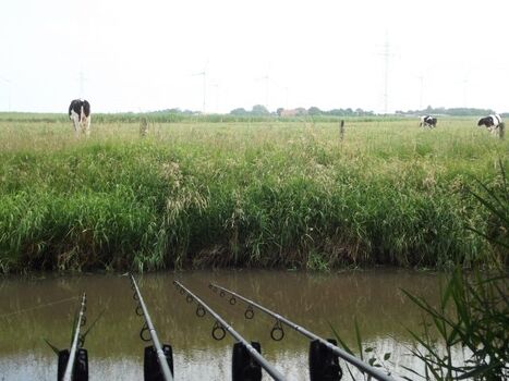 Angeln vom Grundstück