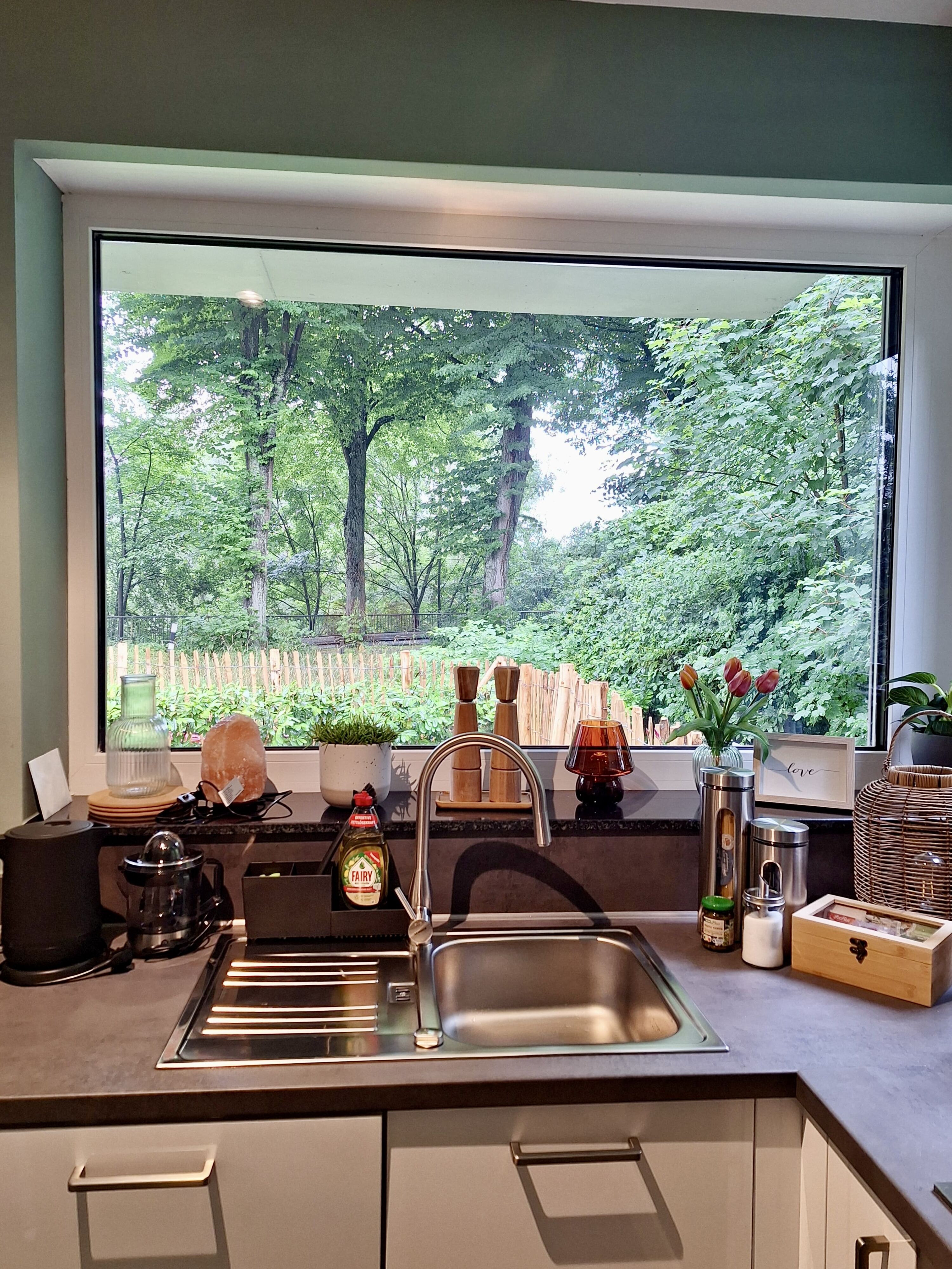 Küche und Blick in den Garten / Straße
