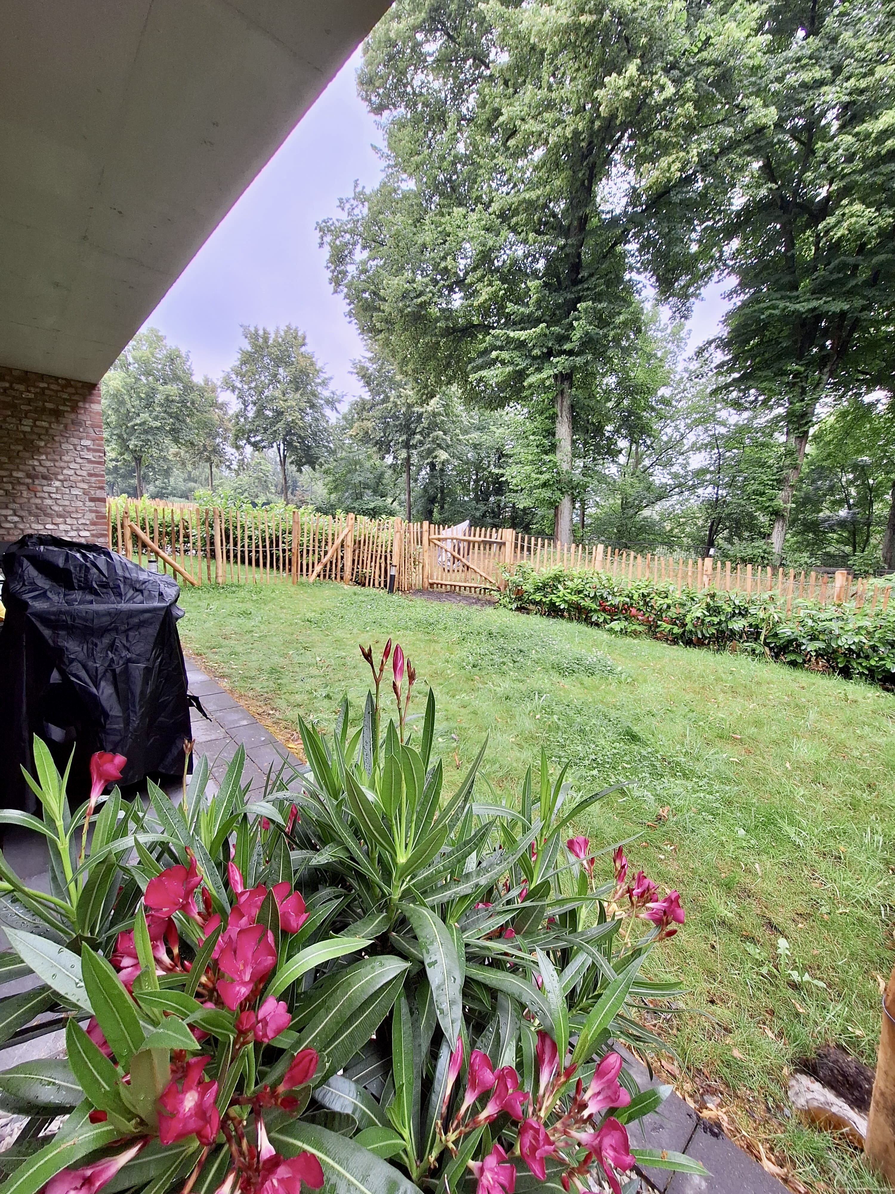 eingezäunter Garten - 1,20m hoher Zaun