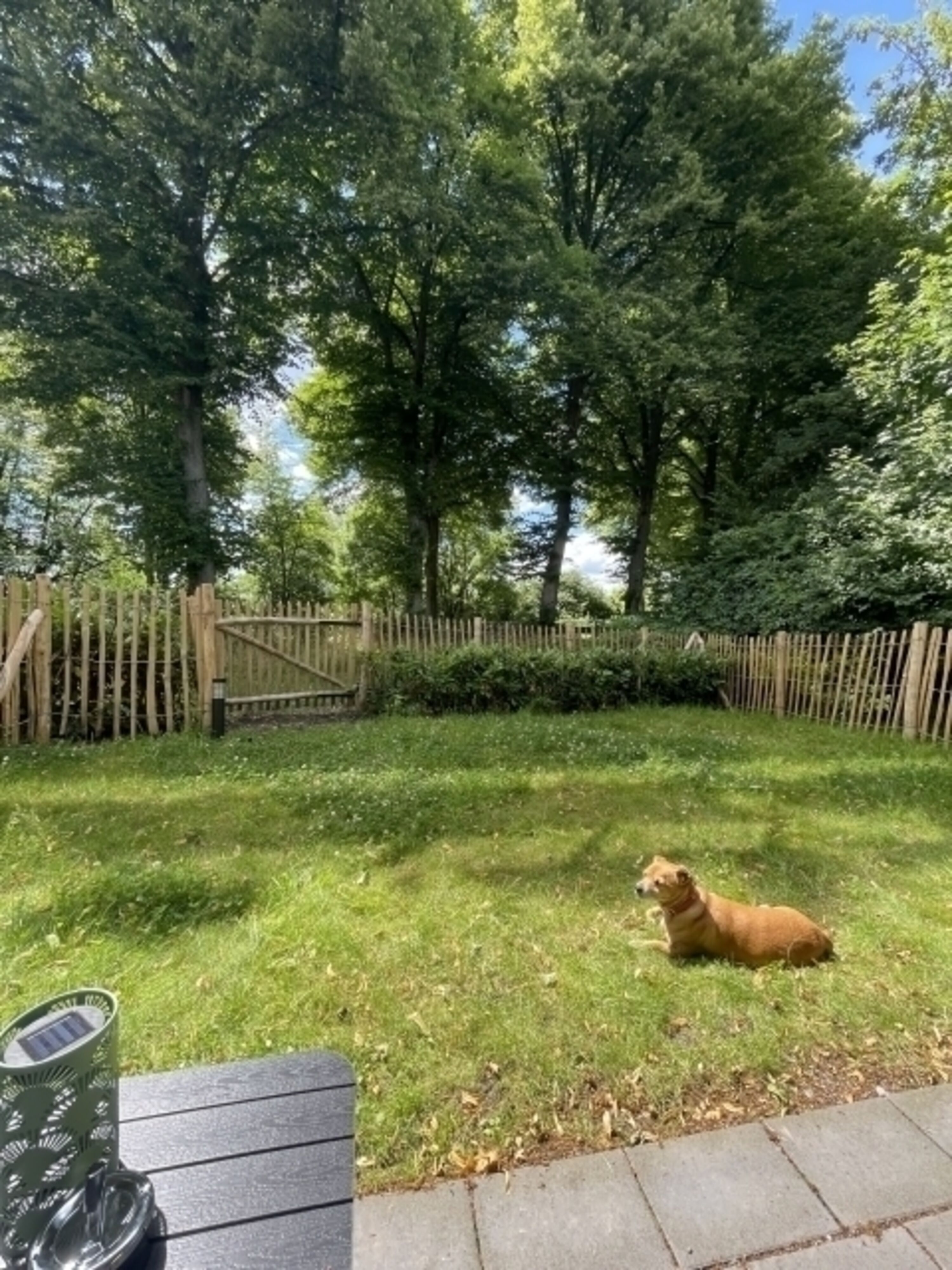 Garten 