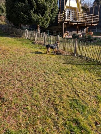 Der Garten ist rundherum eingezäunt