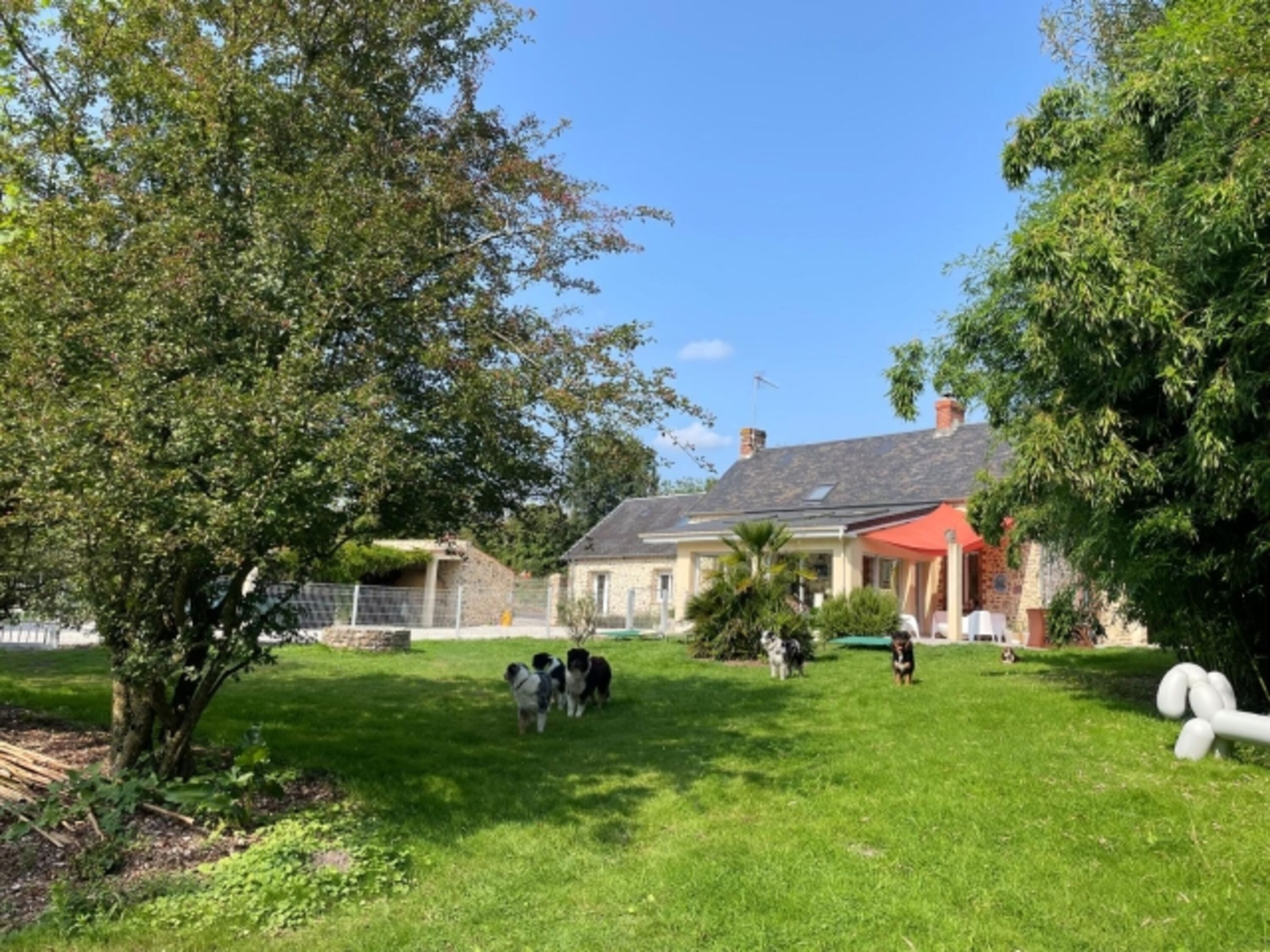 Bild 5