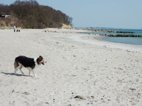 der Bliesdorfer Strand