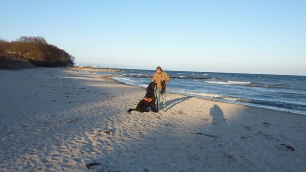 der Bliesdorfer Strand