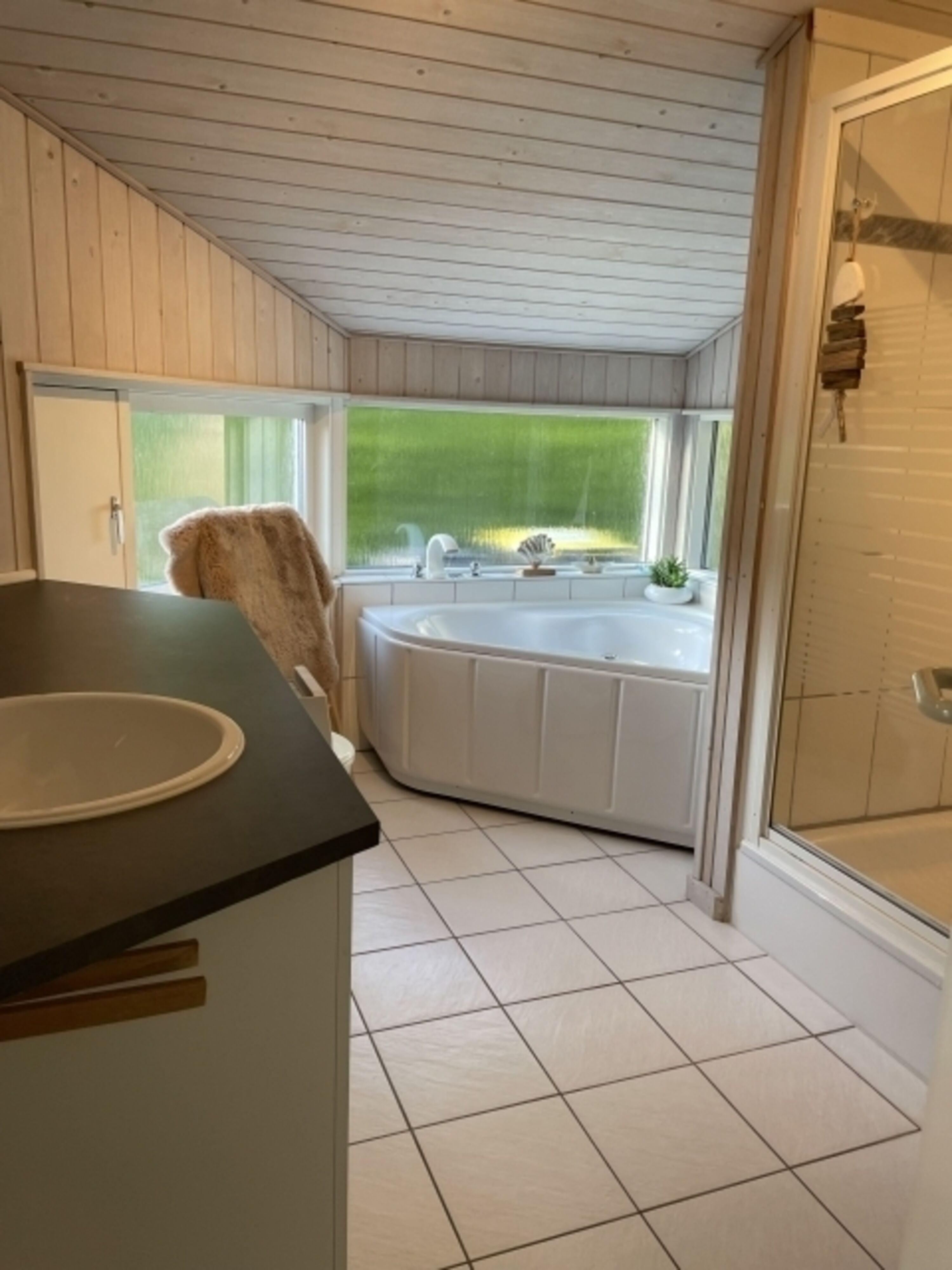 Bild 15