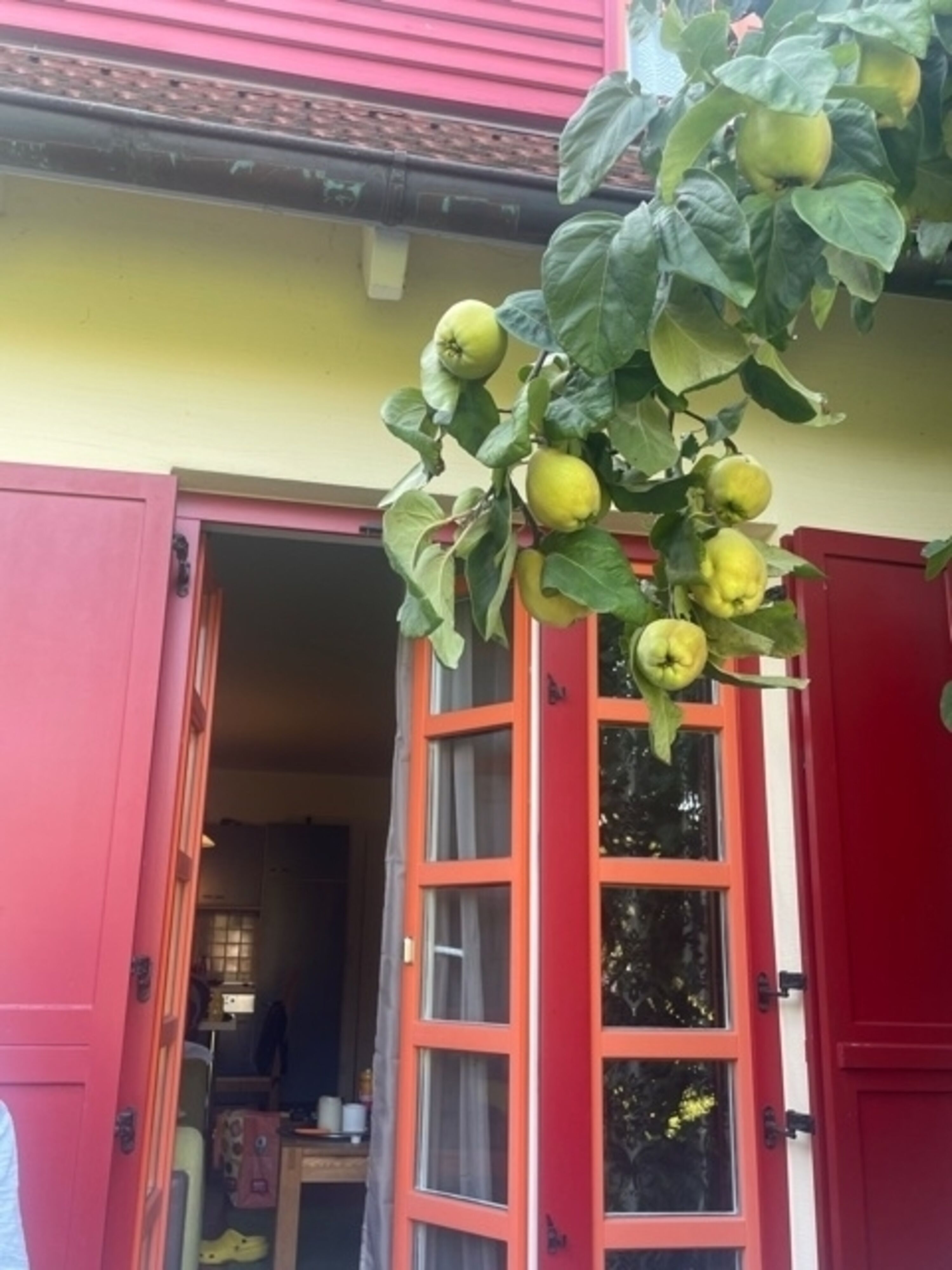 Terasse