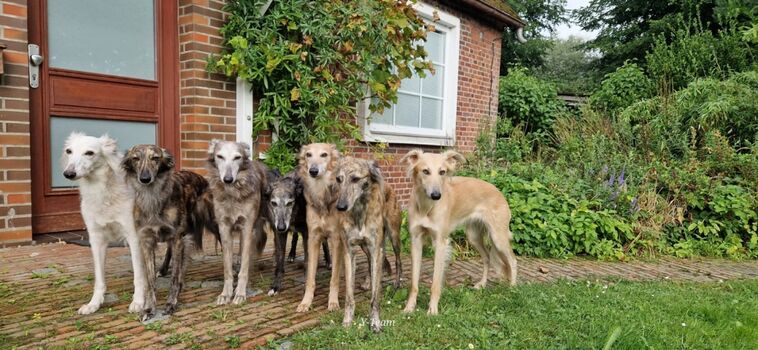 Uns gefällt es hier!