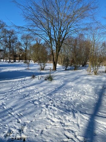 Grundstück im Winter
