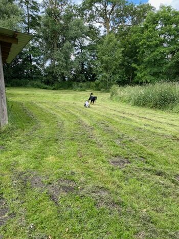 Viel Platz zum Toben